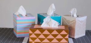 Read more about the article CUSTOM TISSUE BOXES FOR TISSUE PAPER