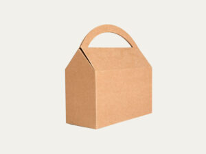 Read more about the article EFFECTUAL BENEFITS OF CARDBOARD BOXES WITH HANDLES