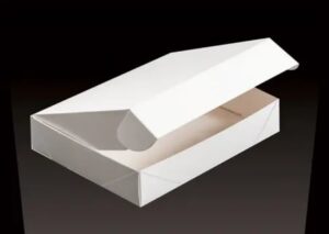Read more about the article WHY ARE TRAY AND SLEEVE BOXES GETTING FAMOUS AMONG CUSTOMERS?